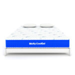 Molty Cool Gel 7 Zone