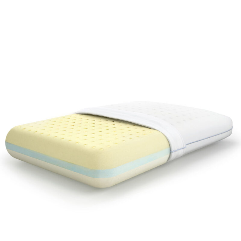 MoltyMemory 2in1 Pillow